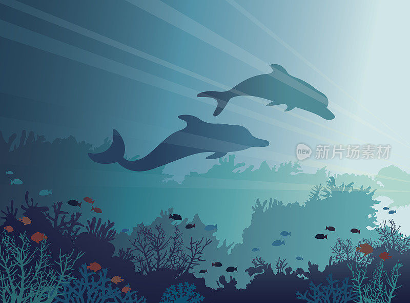 Dolphins, corals, sea. Underwater vector.